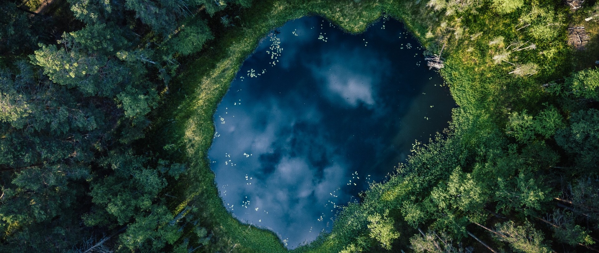 青空と雲が澄んだ水に映る自然湖の航空写真です。
